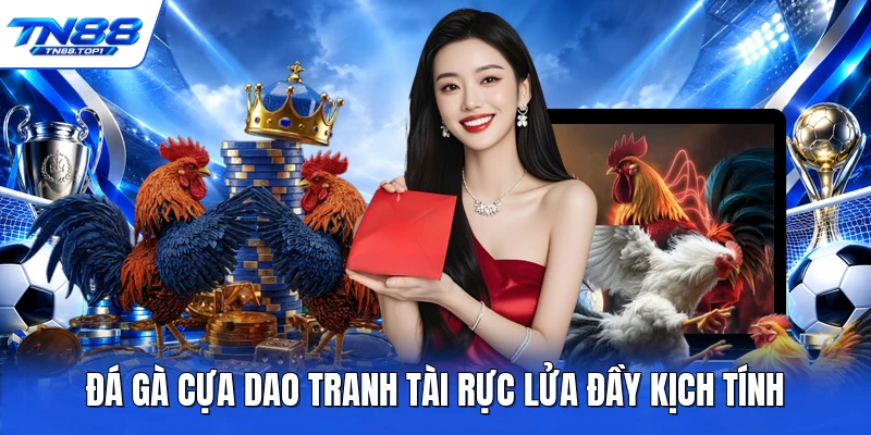 Đá gà cựa dao tranh tài rực lửa đầy kịch tính