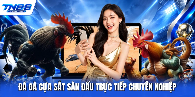 Đá gà cựa sắt sàn đấu trực tiếp chuyên nghiệp