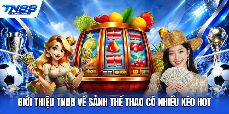 Giới thiệu TN88 về sảnh thể thao có nhiều kèo hot Giới thiệu TN88 về sảnh thể thao có nhiều kèo hot