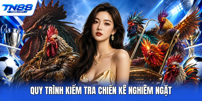 Quy trình kiểm tra chiến kê nghiêm ngặt Quy trình kiểm tra chiến kê nghiêm ngặt